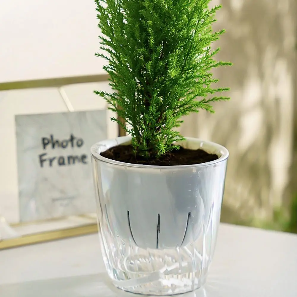 

Transparent Self-priming Flowerpot Thicken Durable Hydroponic Vessel Detachable Double-layer Seedling Tray Succulent