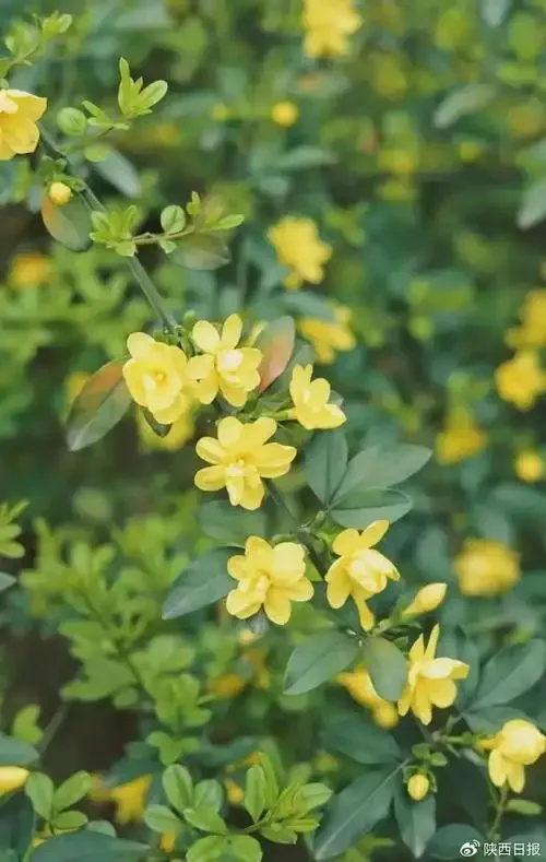 

1PC Aluminum Alloy High Precision Wheel Loader Mount Tire Installer Tyre Assembly Tool for RC Model 19359 Tamiya 4WD Racing Car