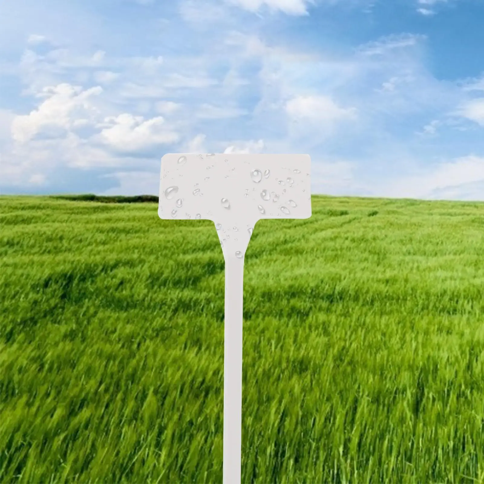 20pcs 30cm Beveled Plastic Garden Plastic Plant Label Plant Labels for Vegetable Nursery T-Type Waterproof Markers