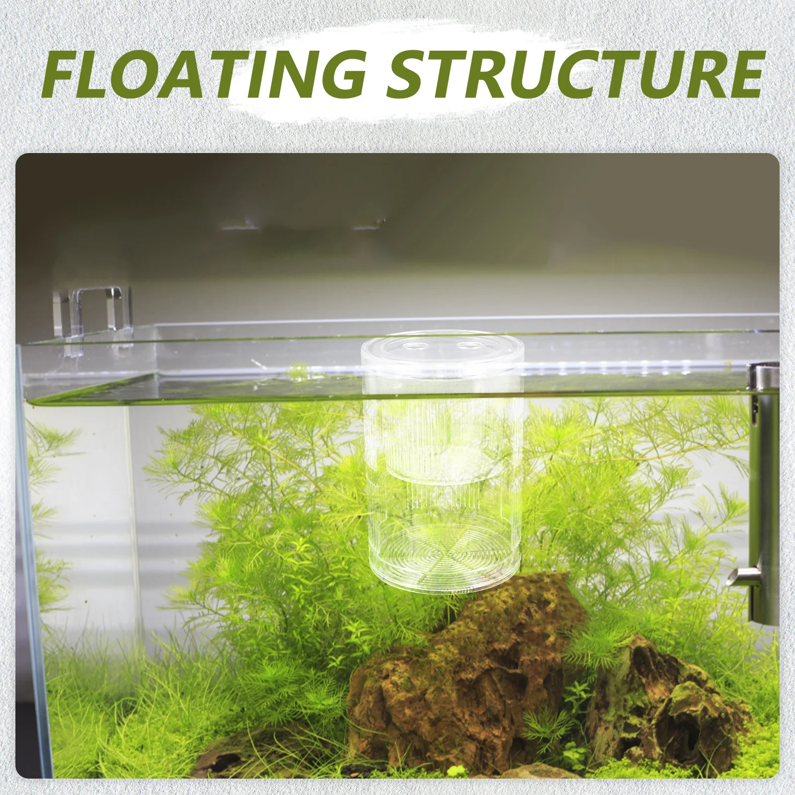 

Acrylic Fish Breeding Box Floating Isolation Chamber Aquarium Divider Shrimp Hatchery Box Betta Guppy Tank Incubator