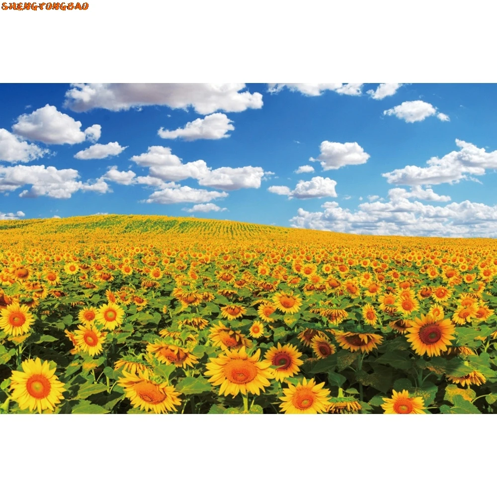 Natural Landscape Backdrops Spring Forest Mountain Water Blue Sky White Cloud Scenery Photography  Background Decor Photo Studio