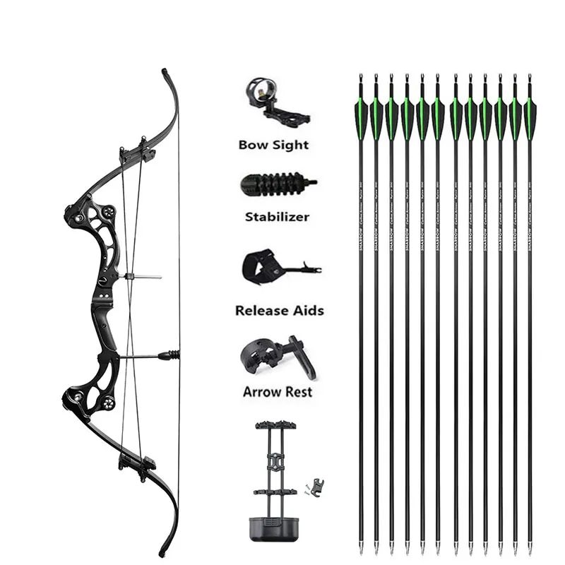 30-55lbs Archery Compound Bow Recurve Bow Shooting Hunting Fishing 320FPS Target Shooting Bow and Arrow Accessories