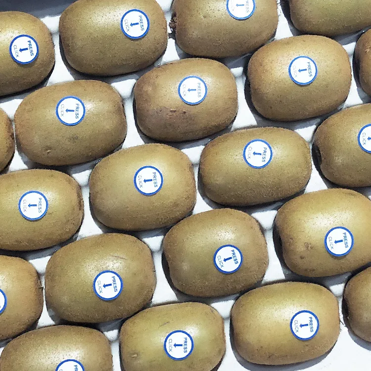 Intelligent Hand-held Labeling Machine for Eggs Apples Kiwi Pears Oranges and Fruits Small Labeling Machine