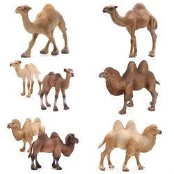 Hot Selling Realistic Camel Model - Single-Humped Camel Figurine Static Children's Toy - Double-Humped Camel Figurine Model