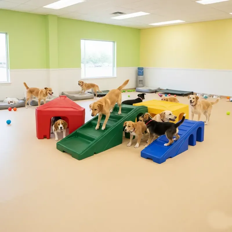 for Commercial Grade Modular Professional Dog Agility Tunnel Playground Equipment for Indoor Pet Agility Training Daycare