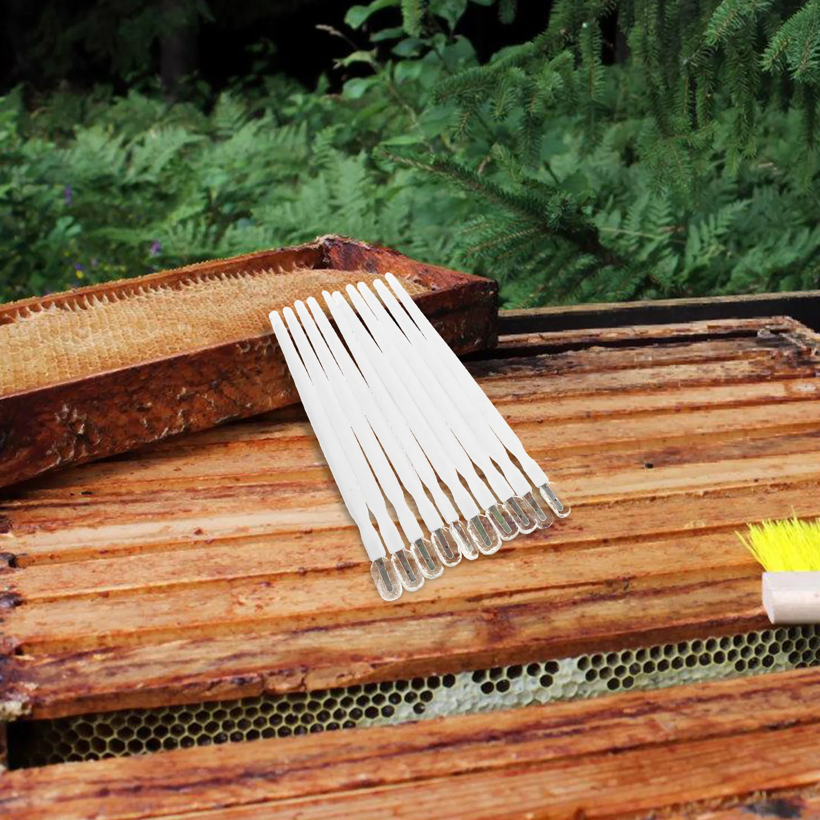 

10pcs Royal Jelly Spatula Beehive Tools Silicone Mold Hive Feeder Scraping Paste Pen Efficient Extraction Portable Design