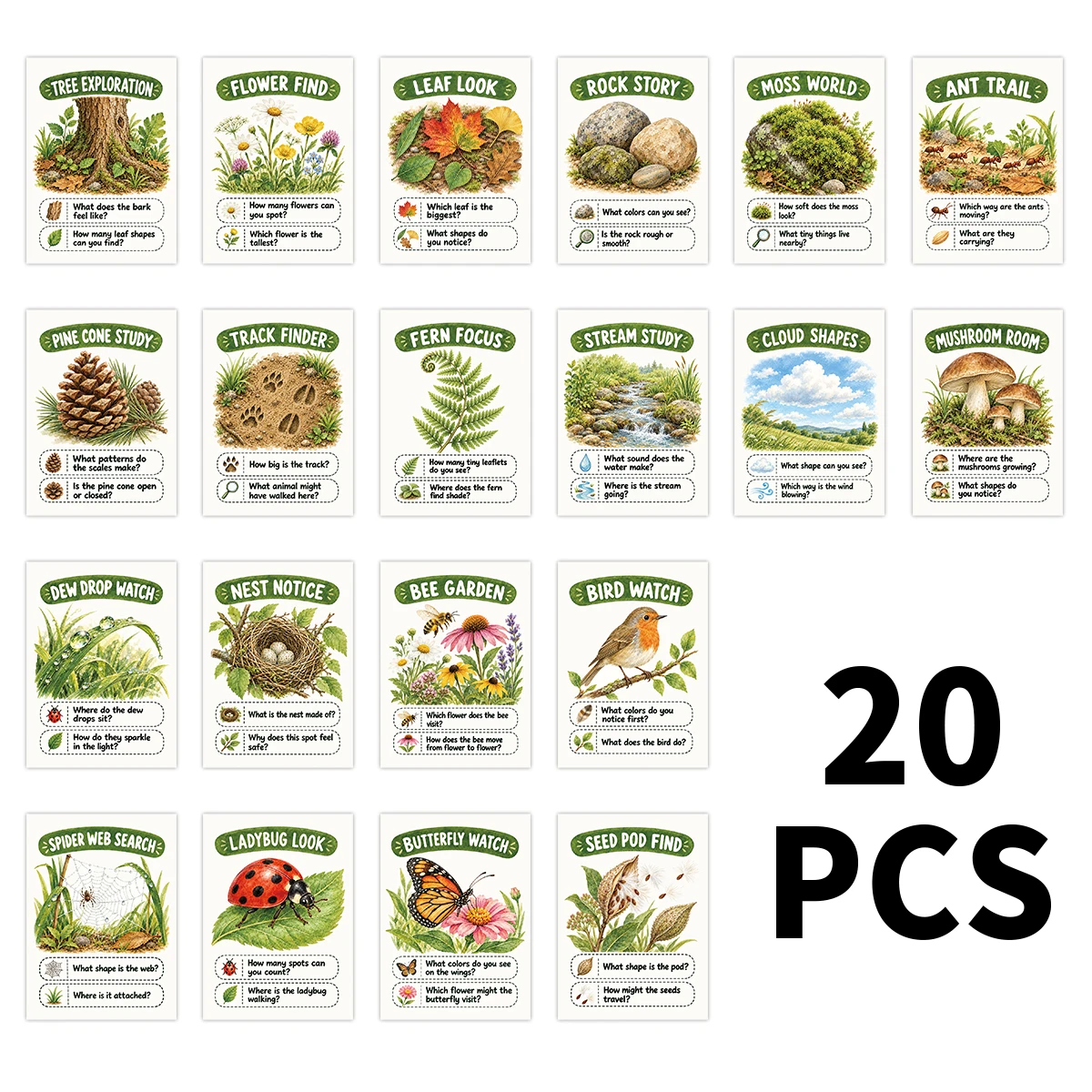20pcs Nature Scavenger Exploration Cards,Outdoor Botanical&Insect Illustration Cards,Prompt Card For Camping,Forest Walking Game
