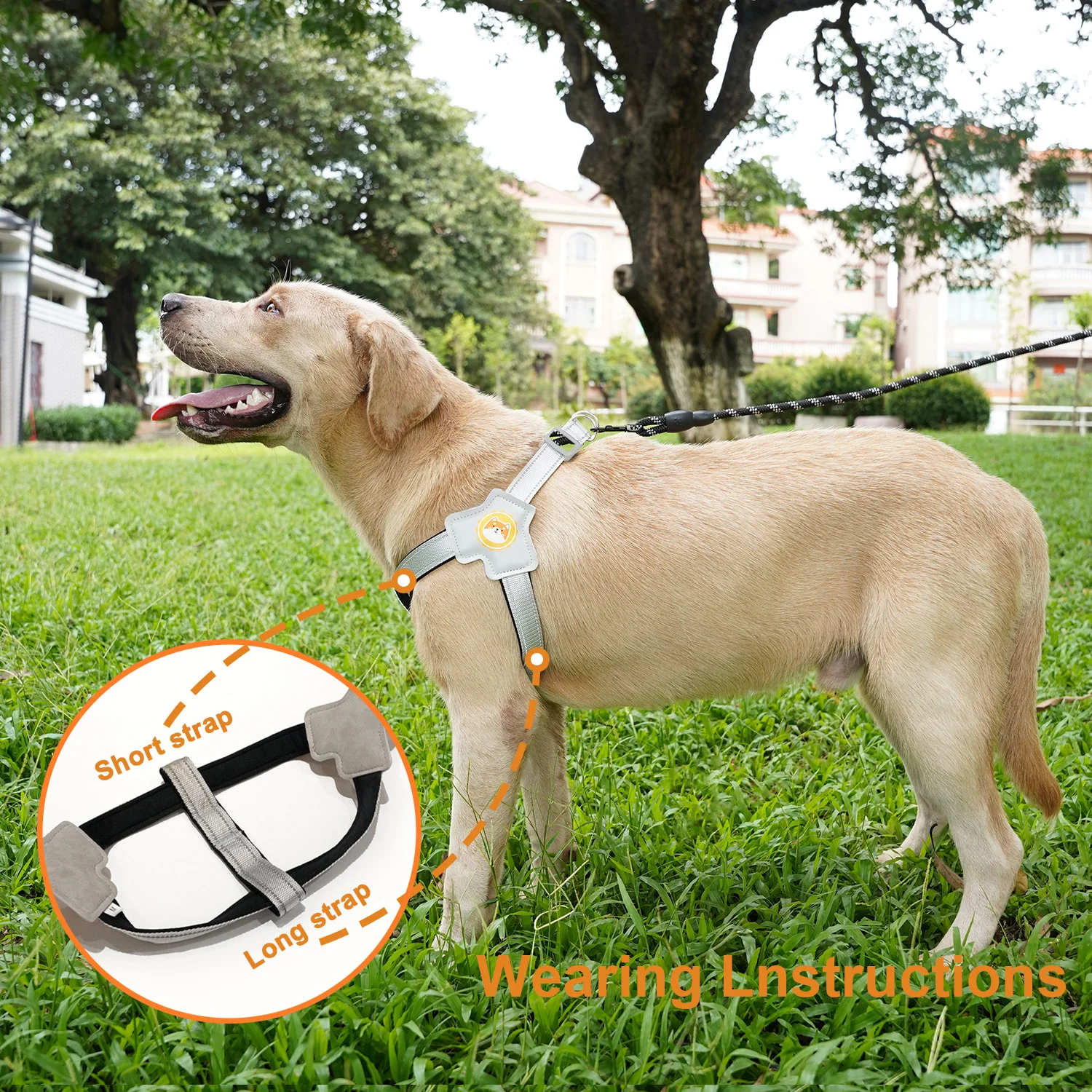 

Coodeo Pet Dog Harness Leash Set Adjustable Lightweight Comfortable Reflective Tape For Small Medium Large Dog Winter Harness