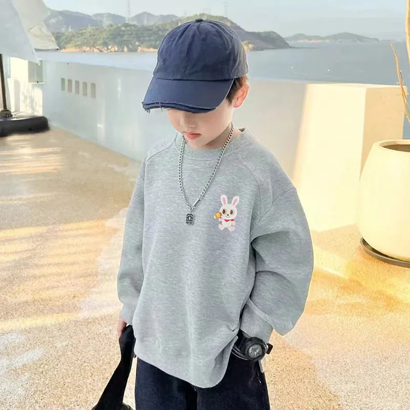 

Kids Boy Girls Cartoon Pullover Tops Sweatshirt Long Sleeve Boys Regular Hoodies Coat
