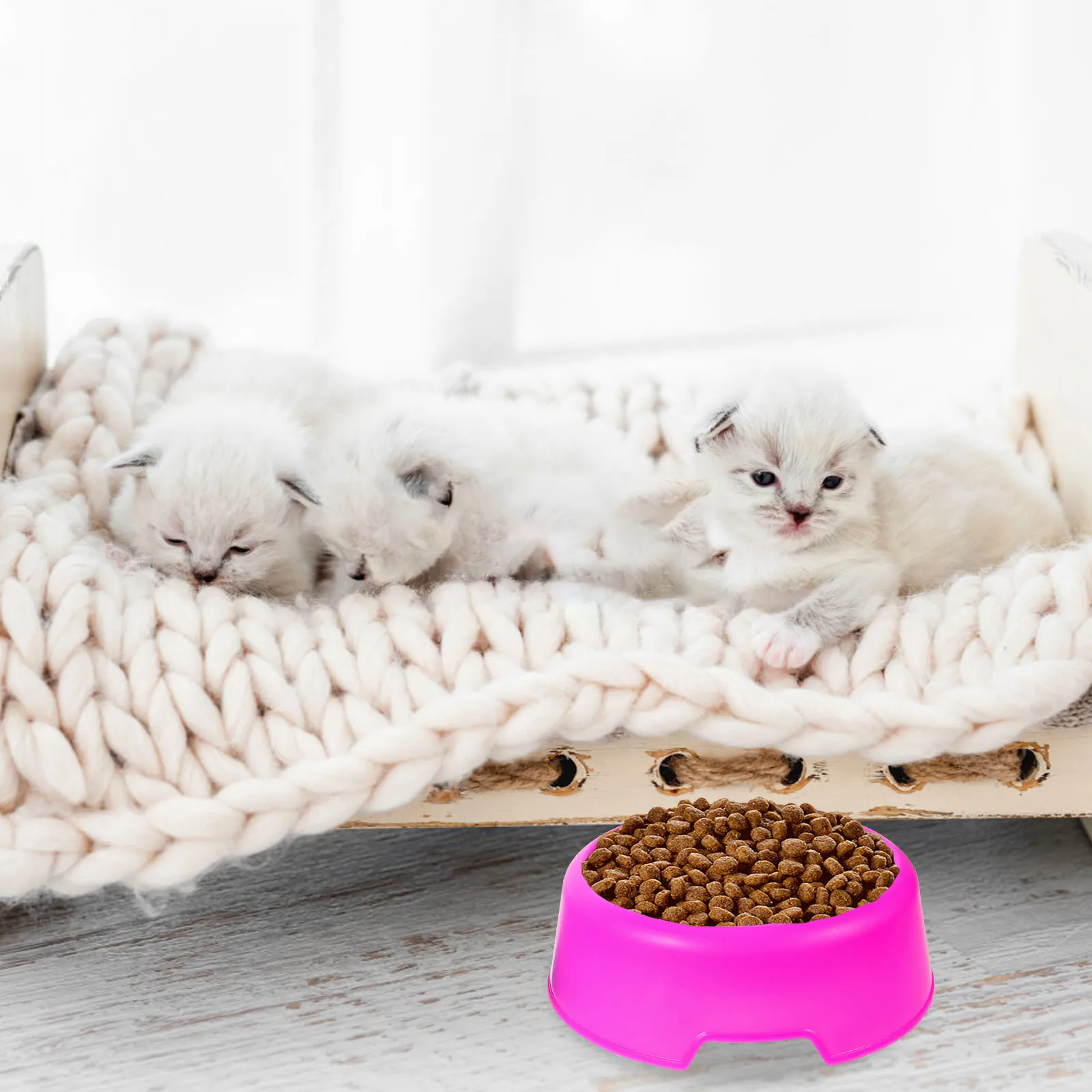 

2pcs Candy Color Plastic Dog Bowl Round Pet Food Water Bowl For Small Dogs Puppies Rabbits Durable Easy Clean Feeding Bowls