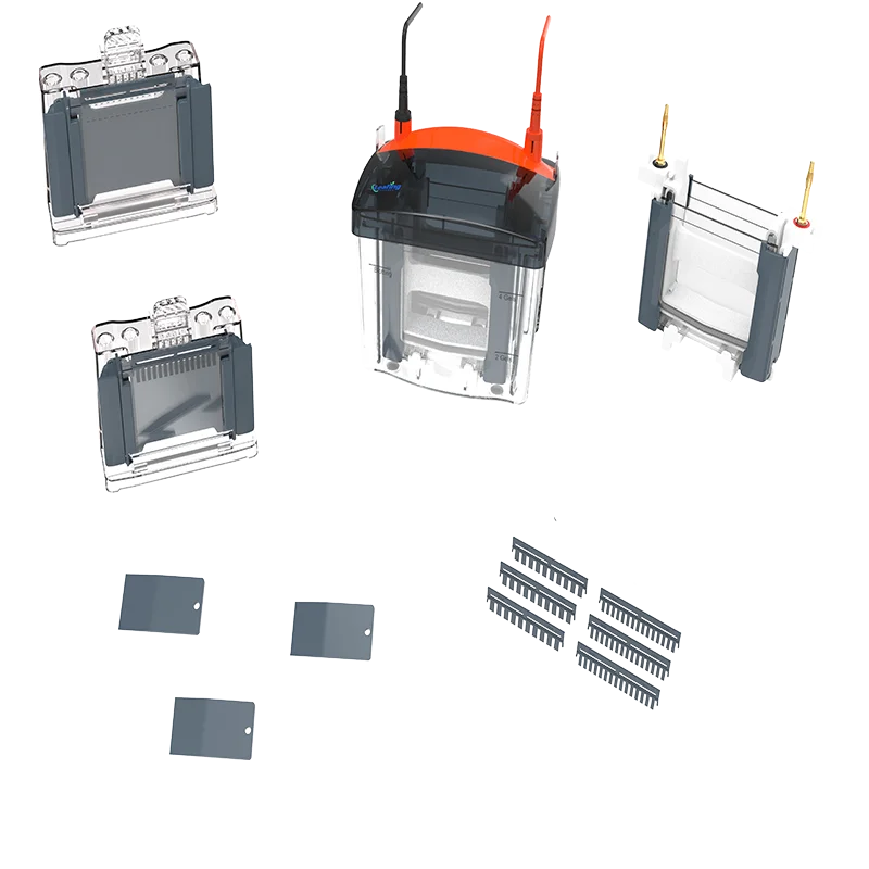 High quality micro-simple Mini Easy  vertical electrophoresis instrument