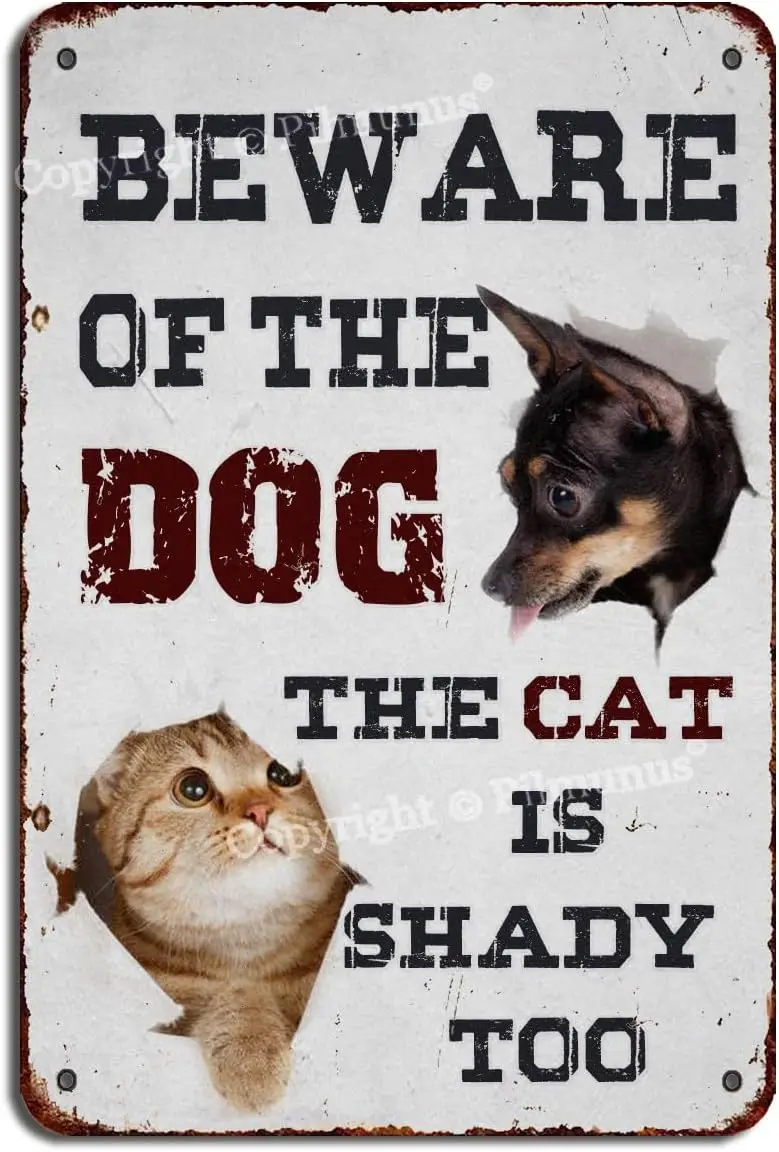 Vintage Metal Tin Sign Beware of The Dog The Cat is Shady Too 12x8 Inches Metal Vintage Look Decoration Painting Sign For H sign