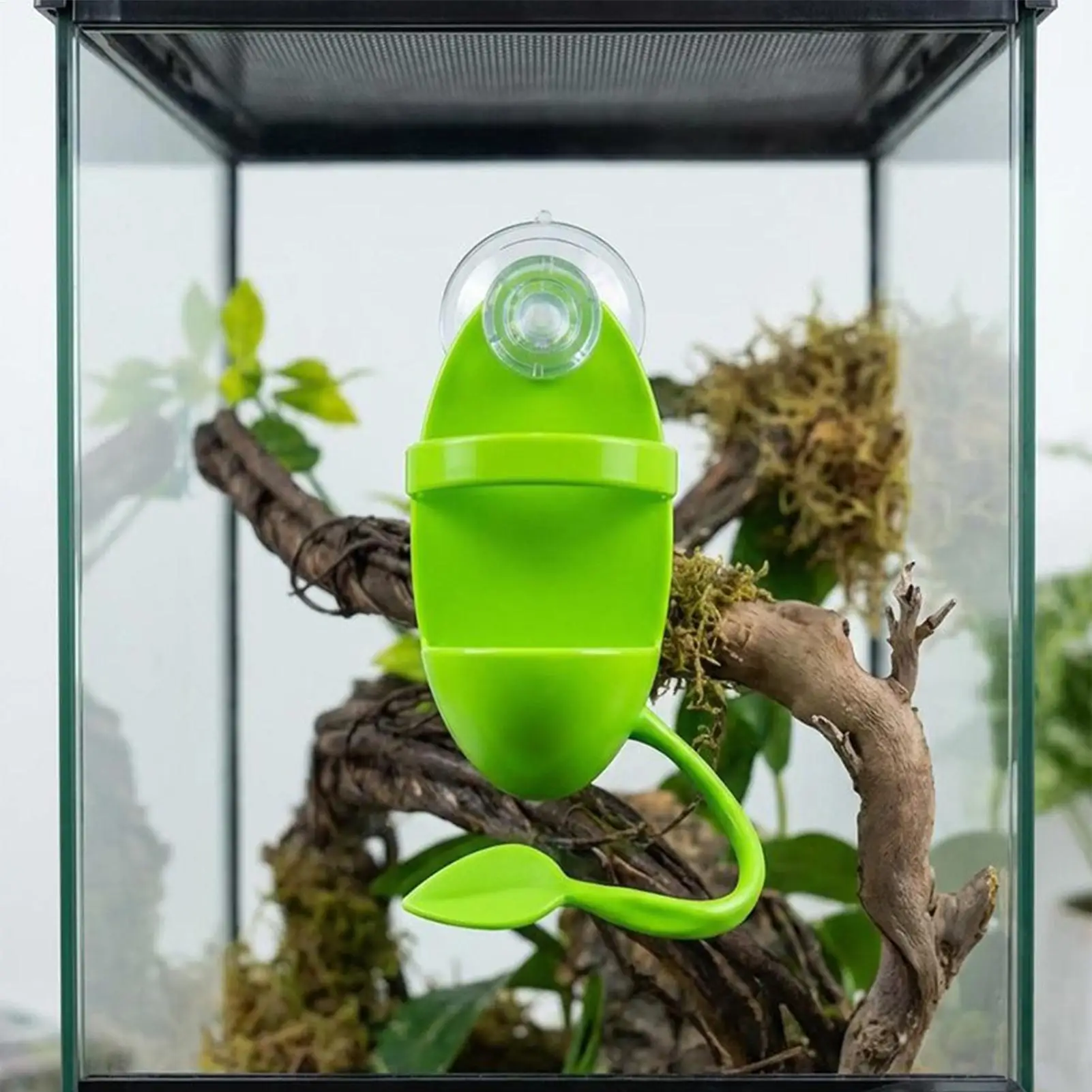 Reptilien-Kletterzweig mit Saugnapf, Hitzebeständiger Sitz, Terrarium-Dekoration für Eidechsen, Frosch- und Gecko-Habitat, Tierfutterplatz – Detail 3