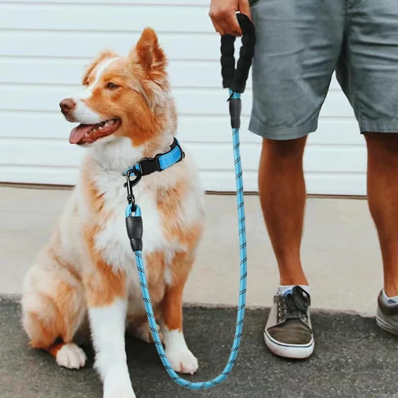 مقود كلب عاكس 3M مع مقبض مبطن مريح، حبل جر مزدوج عالي التحمل مناسب للكلاب الصغيرة والكبيرة
