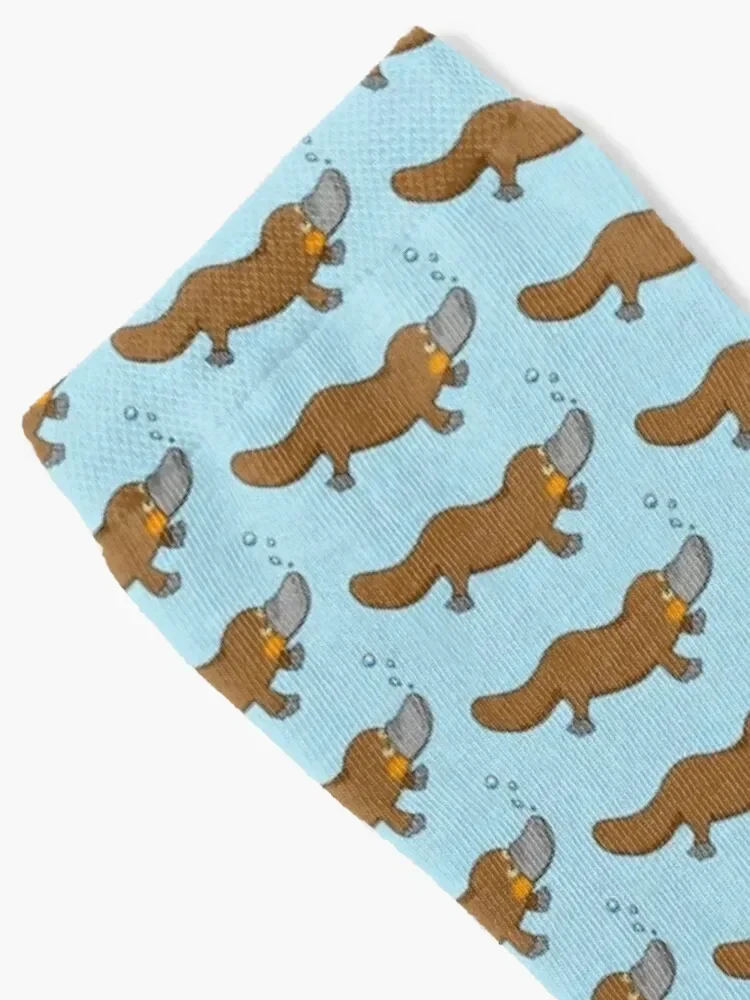 Cute duck billed platypus Socks cute Argentina Male Socks Women's