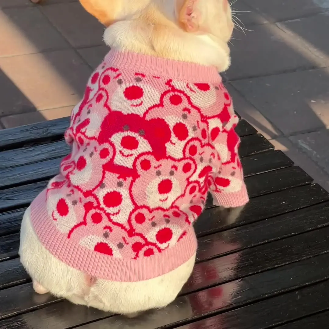 Winter Designer Dog Clothes, Puppy Letter Print Sweater, Teddy, Winter Jumpers, Coat, Soft Outfit, Stylish, Luxury Dog Jumpers