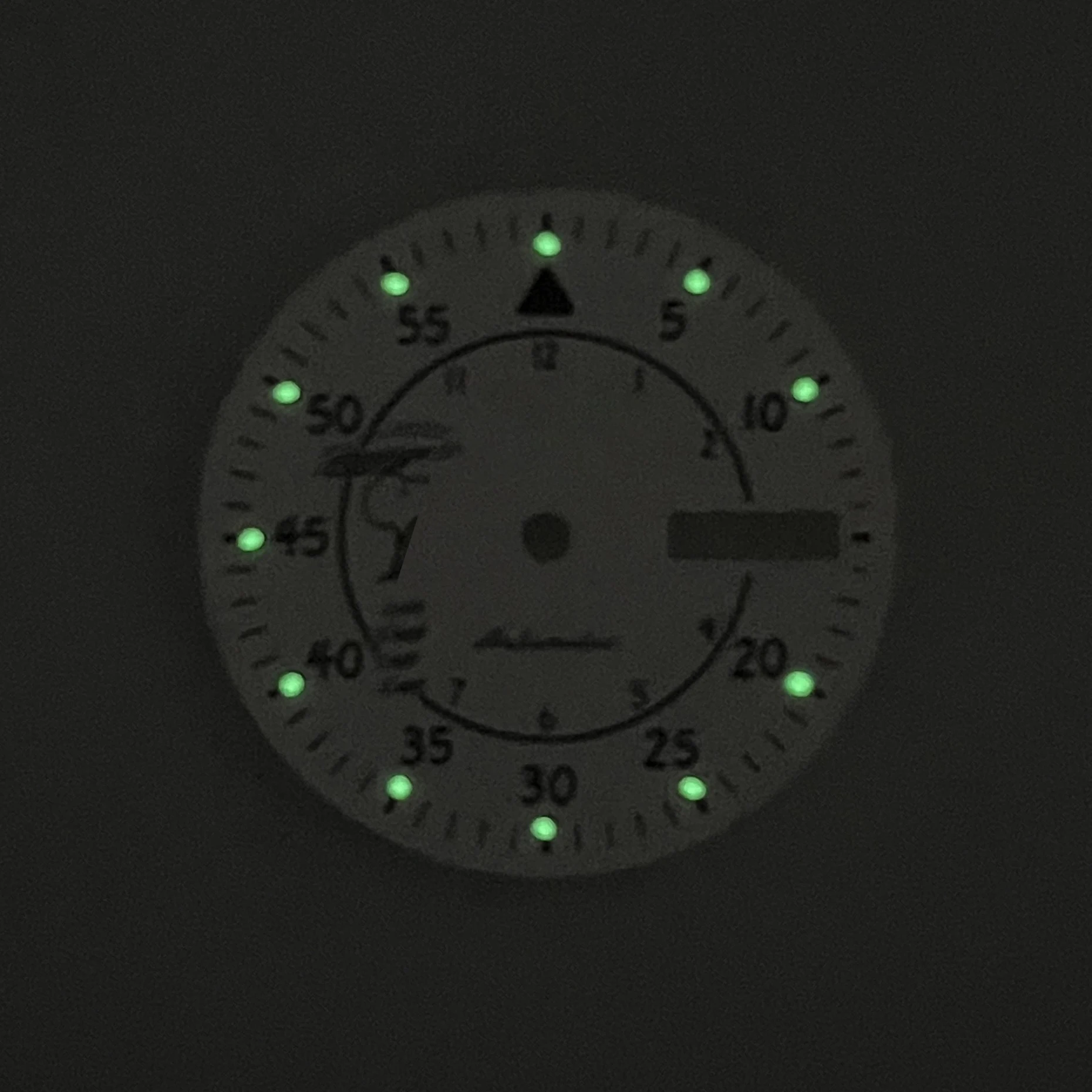 28.5mm S5 Logo Cartoon Dog Dial Fit NH36/4R36 Movement Green Luminous White Dial Watch Modification Accessories