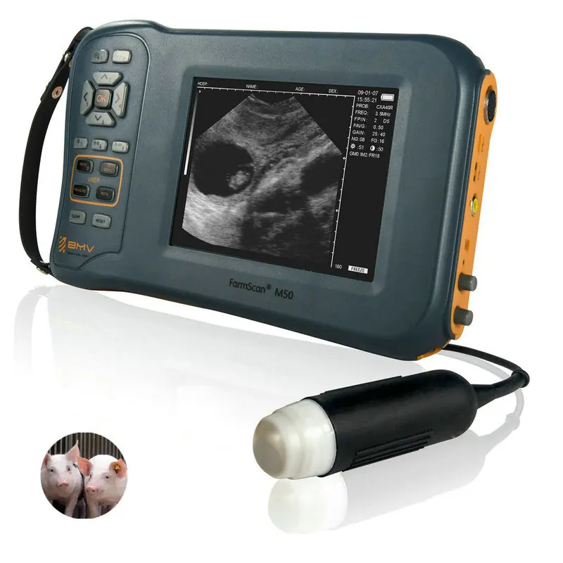 Pig sheep goat preg nancy test ultrasonido portatil veterinary ultrasound