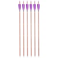 6pcs