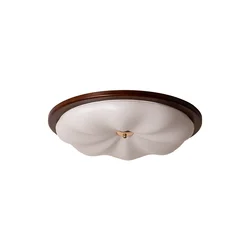 Aisilan LED Surface Mounted Ceiling Lights Nordic Lamp Led Living Room Lights Led Ceiling For Bathroom Foyer Dining Room E27