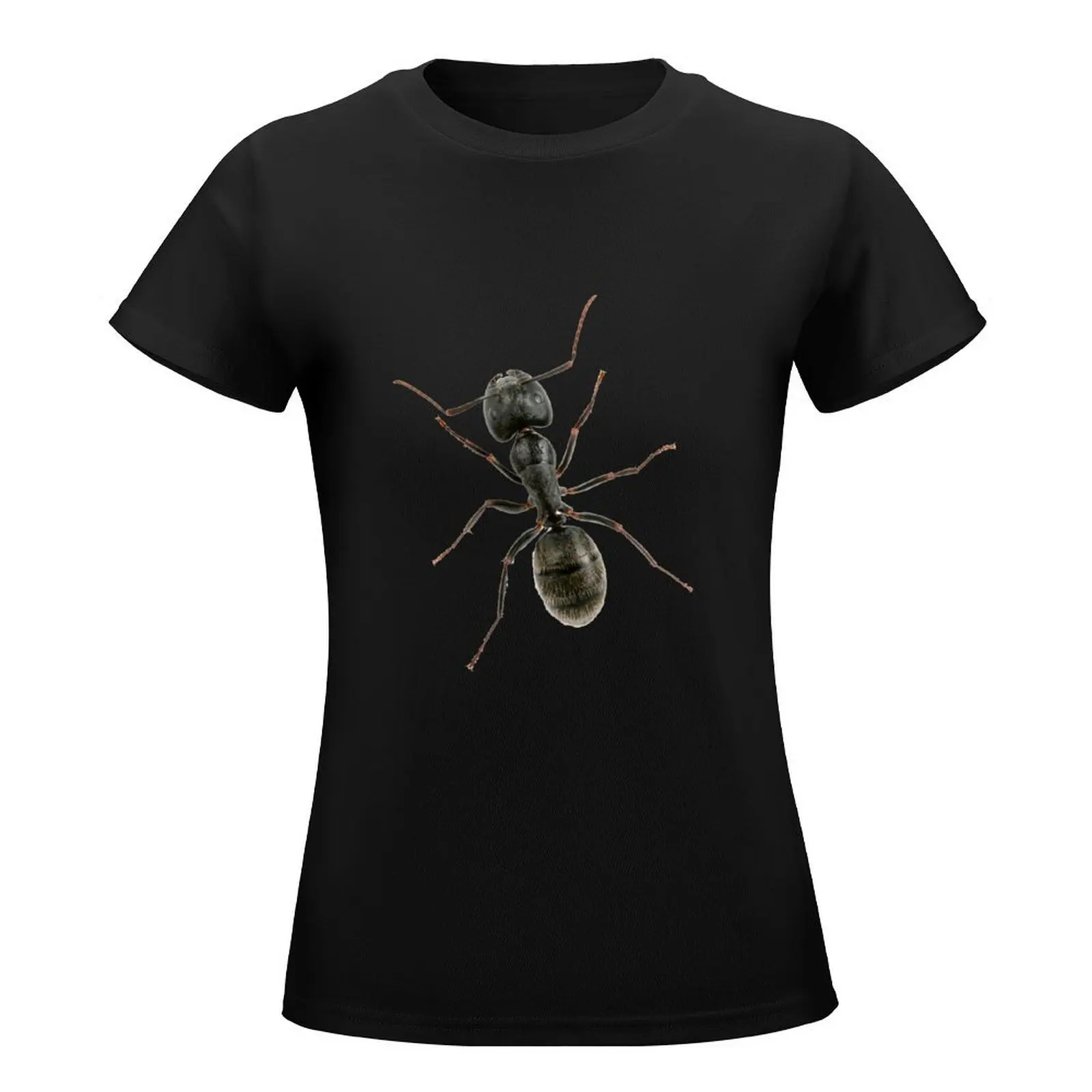 Magic ant T-Shirt animal print summer top t-shirts for Women graphic tees funny