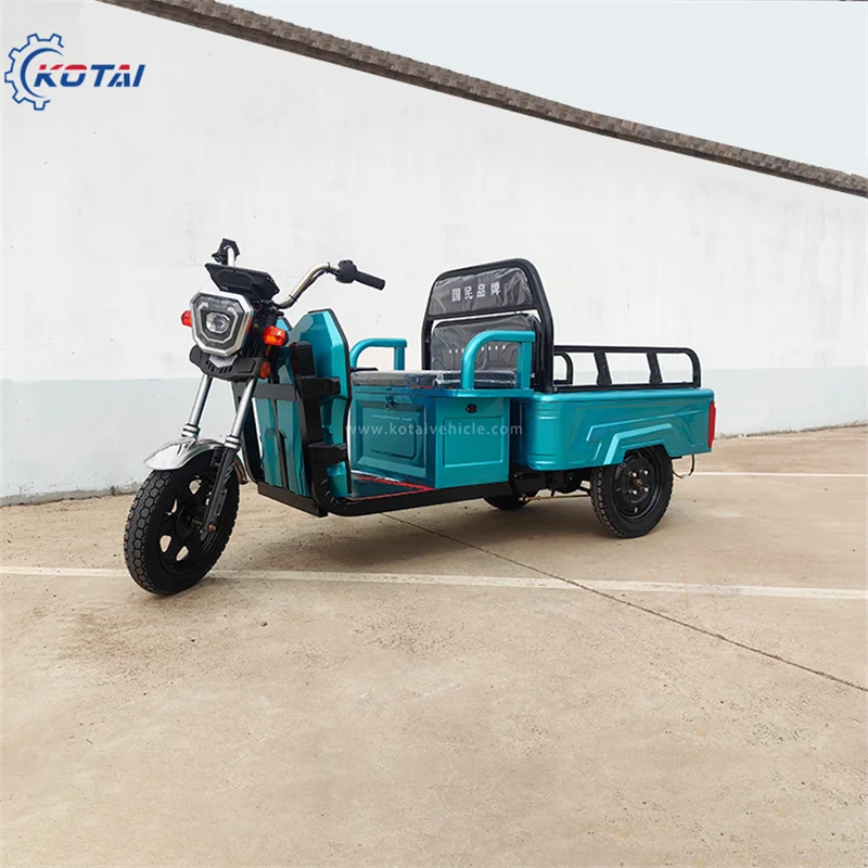 Electric Cargo Trike Adult Motorcycle Passenger Car Rural Suburban Hot Selling Stall Mobile Tricycle