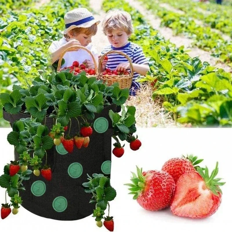 Fabric Flower Bag for Strawberry Growing Plant Pot Wall Hanging Planter Vertical Vegetables Potatoes