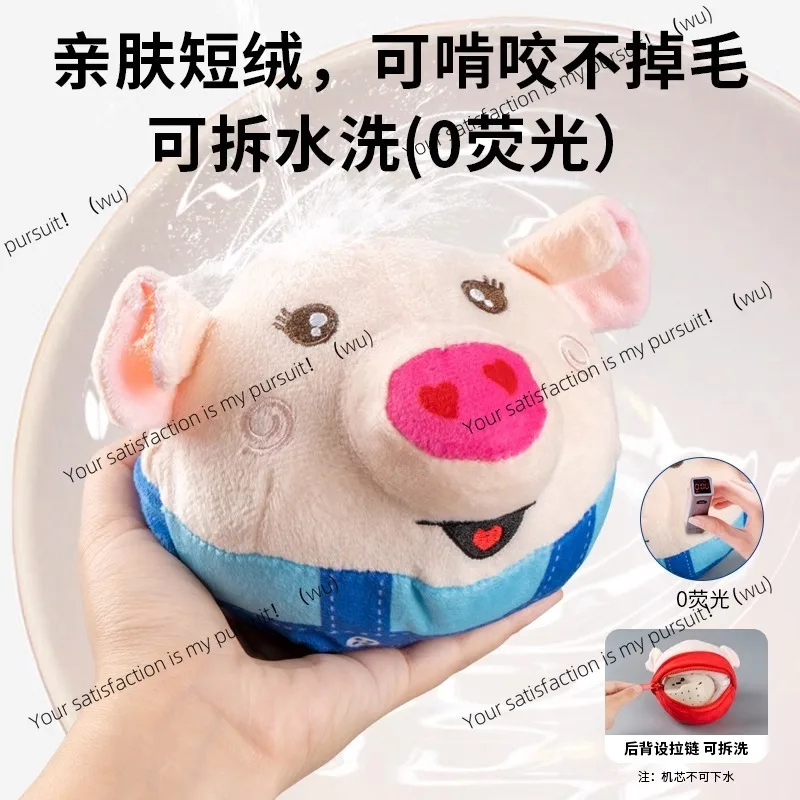 Skipping Pig Coaxing Baby Artifact Skipping Ball Learning to Talk and Sing Baby