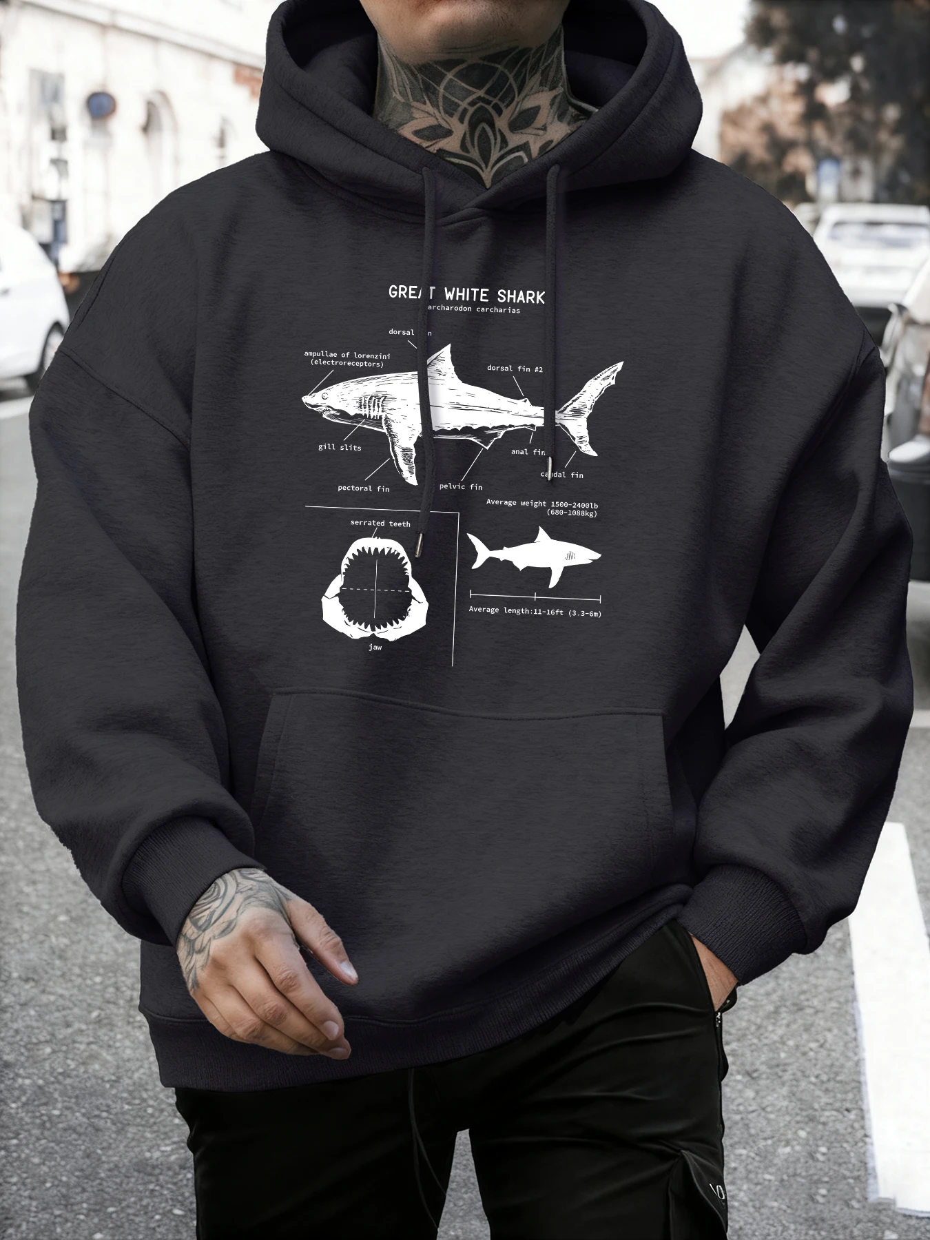 The Evolutionary History Of Sharks Sweatshirt For Men Autumn Loose Hoodie Soft Basics Retro Pullover Unisex Hip Hop Clothing