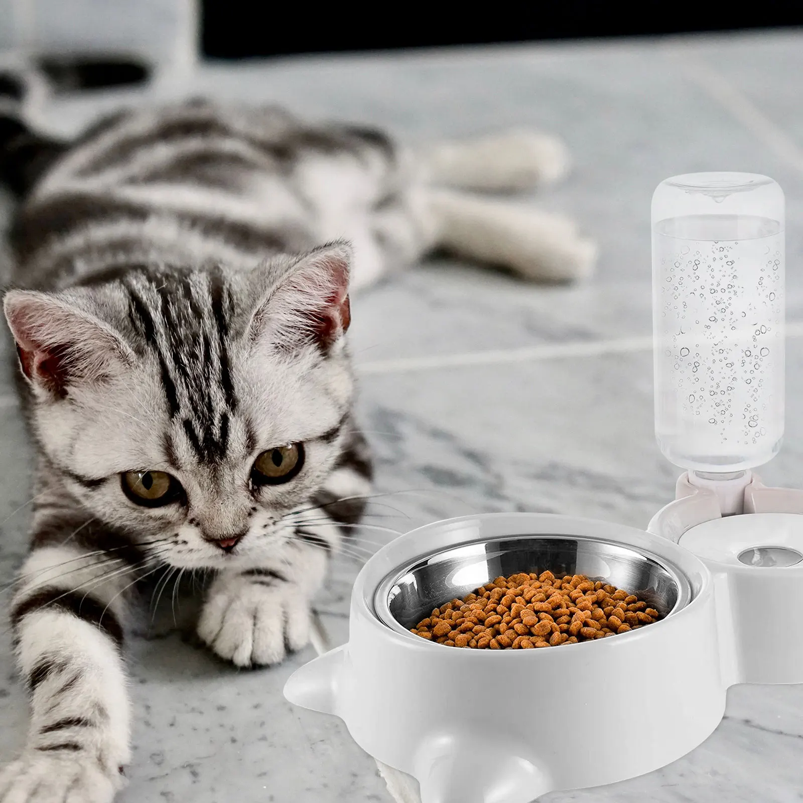 

1.5L Large Capacity Leakproof Pet Water Feeder Bowl Automatic Dog Dispenser Drinking Tool Divider Dust Resistant Simple Design