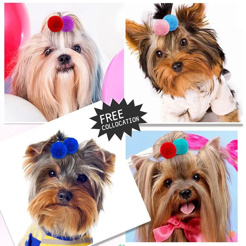 Cute 3cm Ball Elastic Hair Bands for Pet Dog Cat Hair Ropes Ties Ponytail Headwear Hair Accessories Dog Grooming Tools Supplies