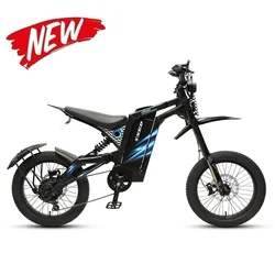 High power 1000w 48v fat tire rear motor 7 speed off road e dirt bike electric bicycle