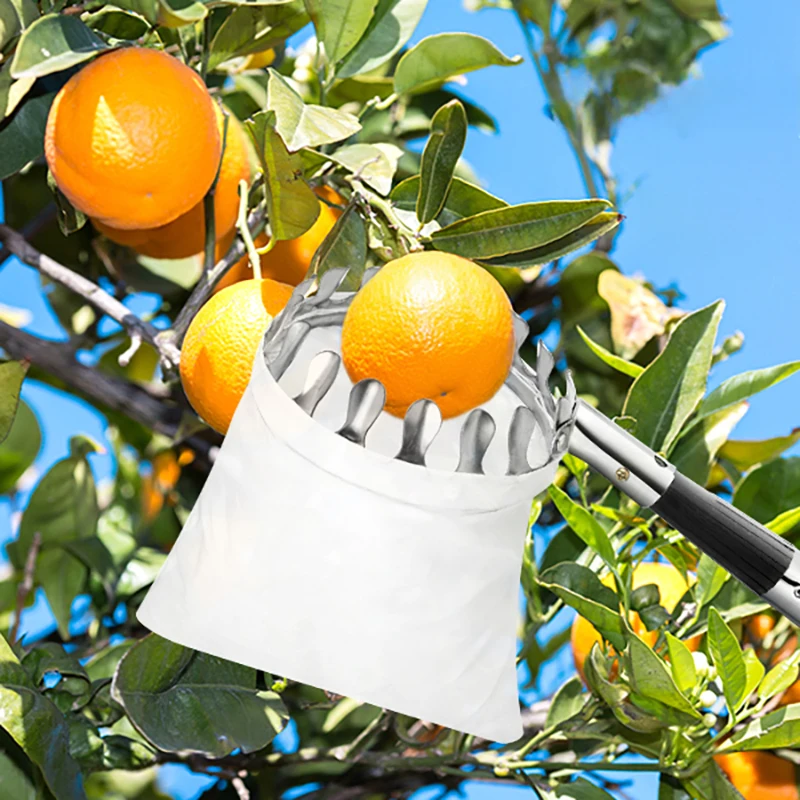 آلة منتقي الفاكهة الفولاذ المقاوم للصدأ الربط قضيب أدوات قطف الفاكهة اختيار التفاح الكمثرى الليمون والأفوكادو لأدوات بستان المزرعة