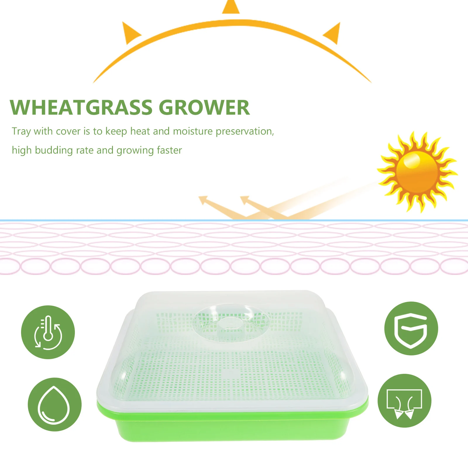 

2 Sets Seedling Trays Sprouter for Growing Sprouts Germination Lid Home Microgreens Wheatgrass Starter Planting Trays Storage