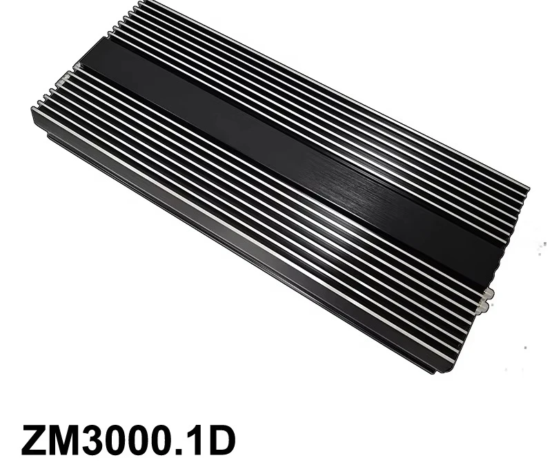 

3000W Korean-Style Monoblock Bass Amplifier High-Power SPL Beast Car Audio for Dominant Low-Frequency Performance