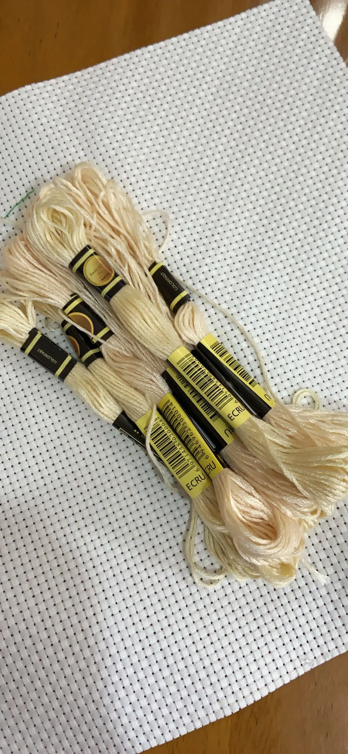 10PCS/LOL Set Cross Stitch Thread Embroidery Floss For Beginners DIY Craft Bracelet Craft8M Skein No Repeat Rainbow DMC Ecru