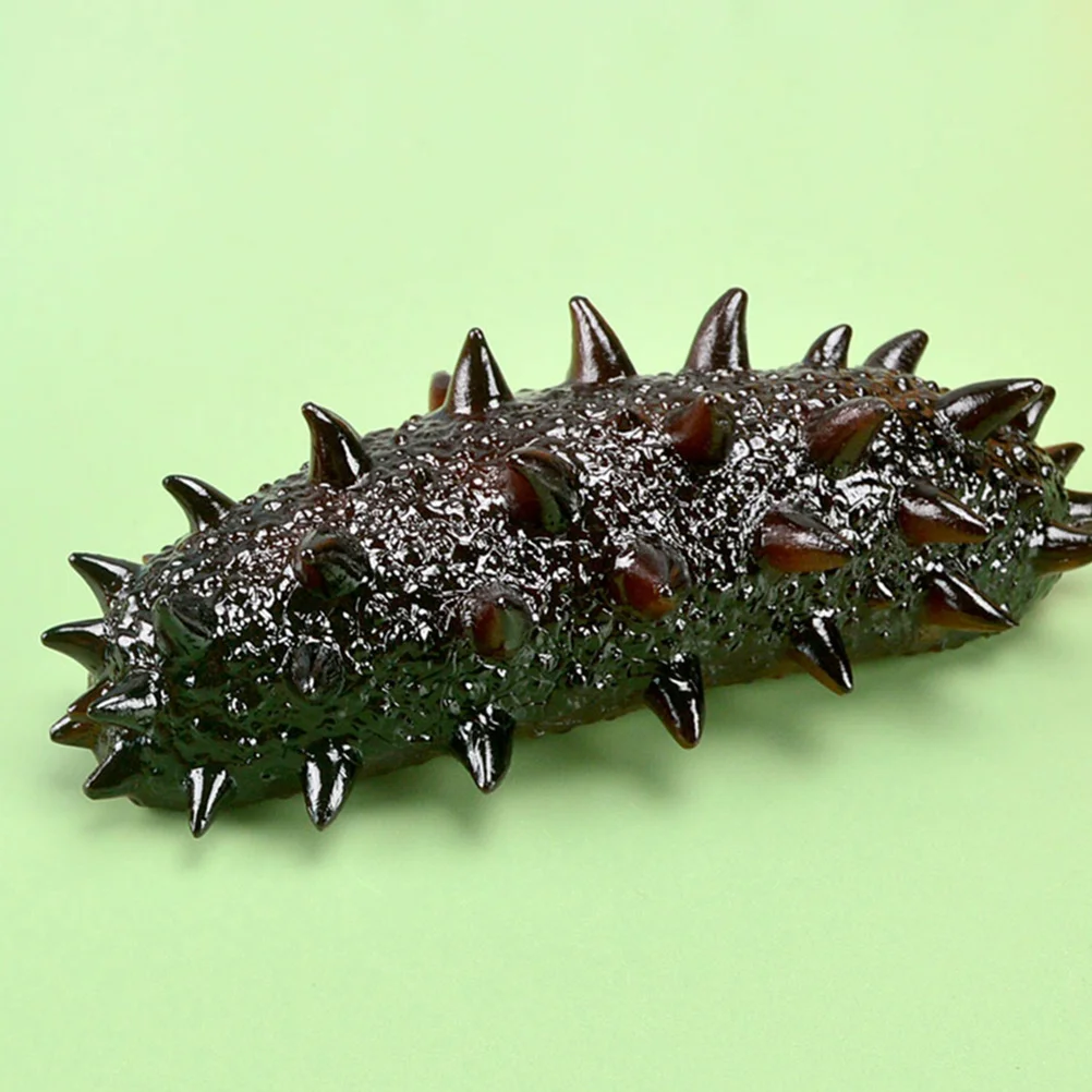 

2Pcs Artificial Sea Cucumber Realistic Simulation Educational Cognitive Props Photo Decoration Food Display Restaurant Decor