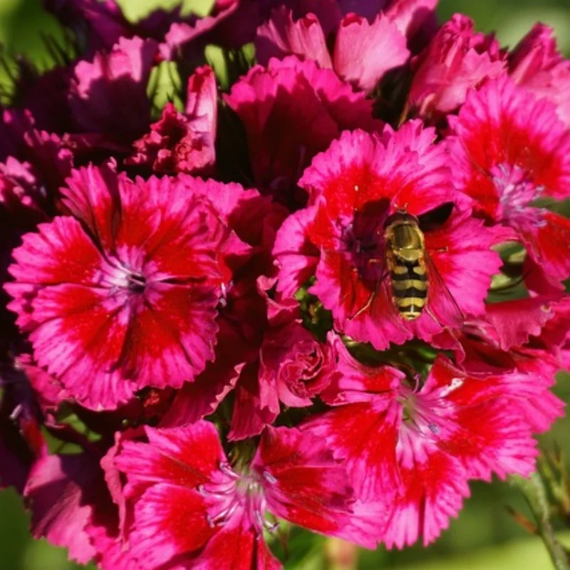

Металлическое крепление шасси передней и задней оси, тяга, крепление на боковую педаль, амортизатор, набор деталей для обновления радиоуправляемого автомобиля 1/16 для WPL 1/16 C64