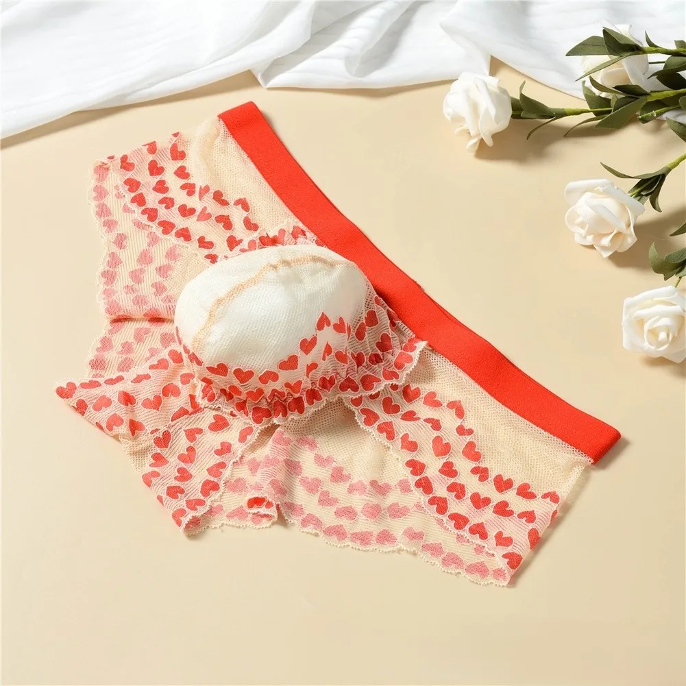 Sexy Hot Men's Sheer Mesh Briefs Panties Fashion Heart Pattern Bulge Pouch Triangular Underwear Ultrathin Underpants