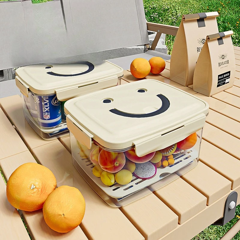 

LMM outdoor camping spring outing picnic mobile small refrigerator with storage portable crisper