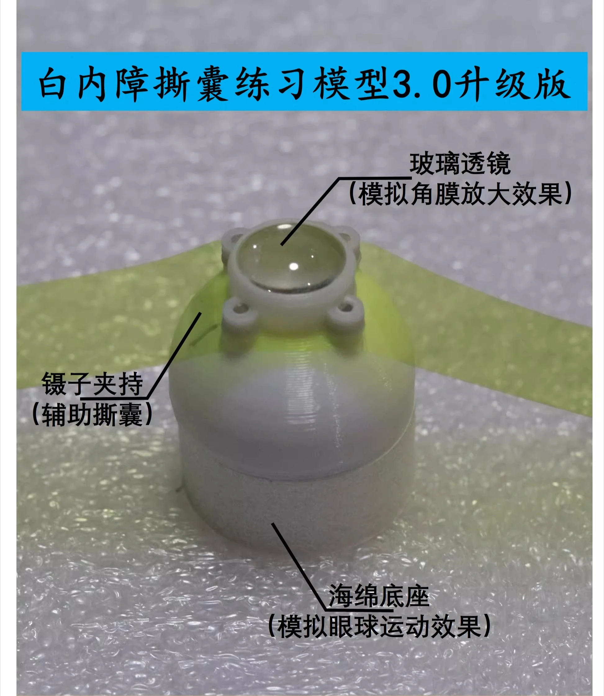 3.0 Ophthalmic Cataract Ultrasonic Emulsification Capsulorhexis Surgery Practice Model Ophthalmic Circular Tearing Capsule Tool