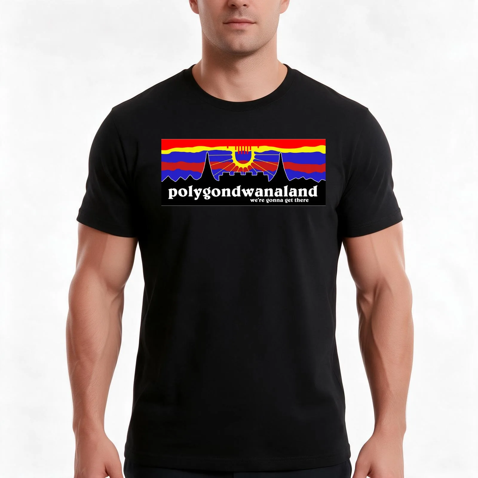 King Gizzard - Polygondwanaland - All proceeds to charity T-Shirt, Summer Casual Cotton Tee, Oversized Streetwear Tops