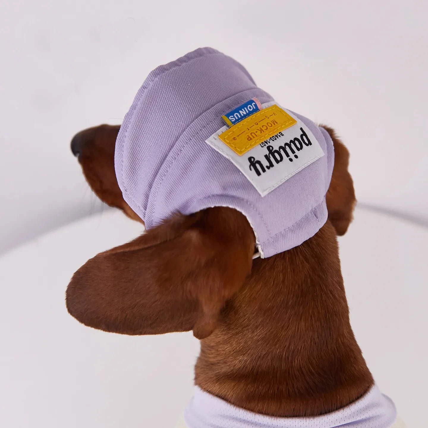 Sombrero verano protección solar perro salchicha ajustable velcro - imagen 3