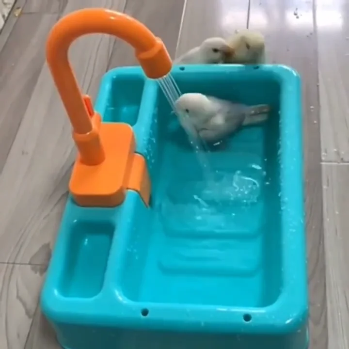 bain-d'oiseaux-automatique-2-en-1-avec-pulverisation-integree-et-distributeur-de-nourriture-adapte-aux-perroquets-et-aux-petits-oiseaux-douche-electrique