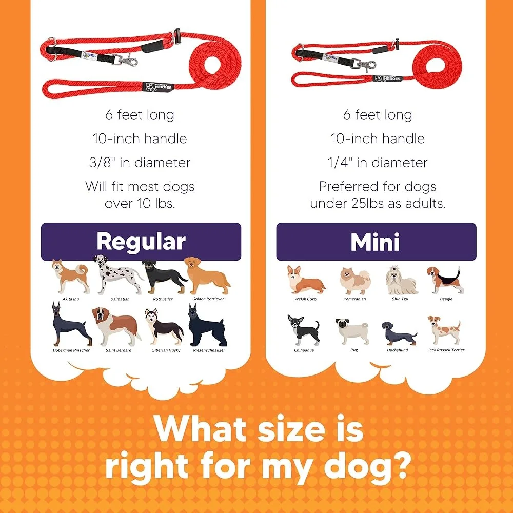 No-Pull Dog Headcollar Leash 5