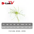 GREEN 4PCS