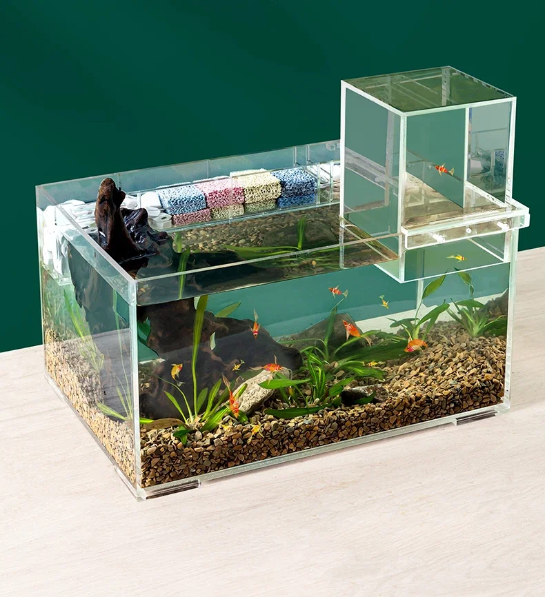 

Small negative pressure vacuum suspended ecological creative landscape decoration small fish tank