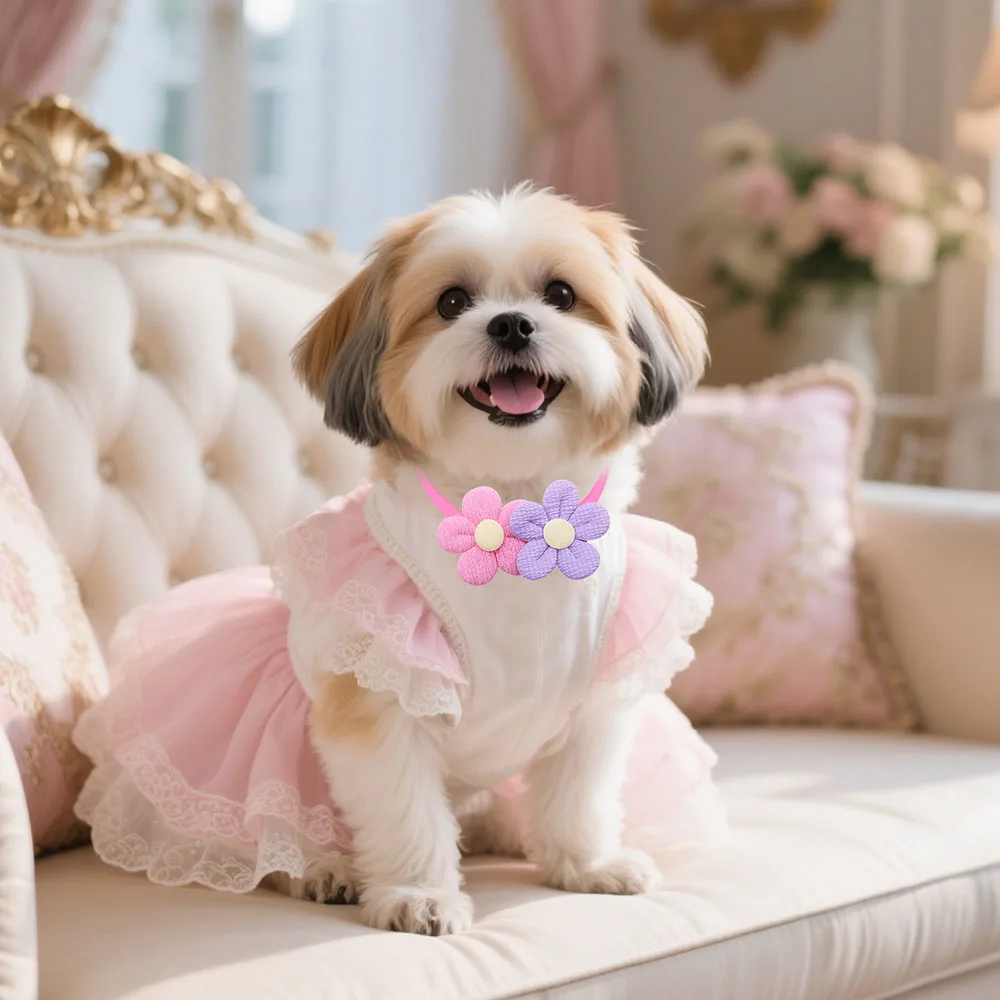Thumbnail 4 - #67 Best Puppy Collars to Buy In 2026