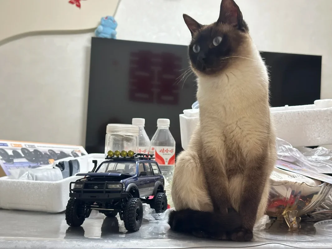 

1/18 Scale FMS FCX18 RC Crawler 180 Brushed 2-Speed Metal Axle LED All-Terrain Waterproof RTR Off-Road Toy