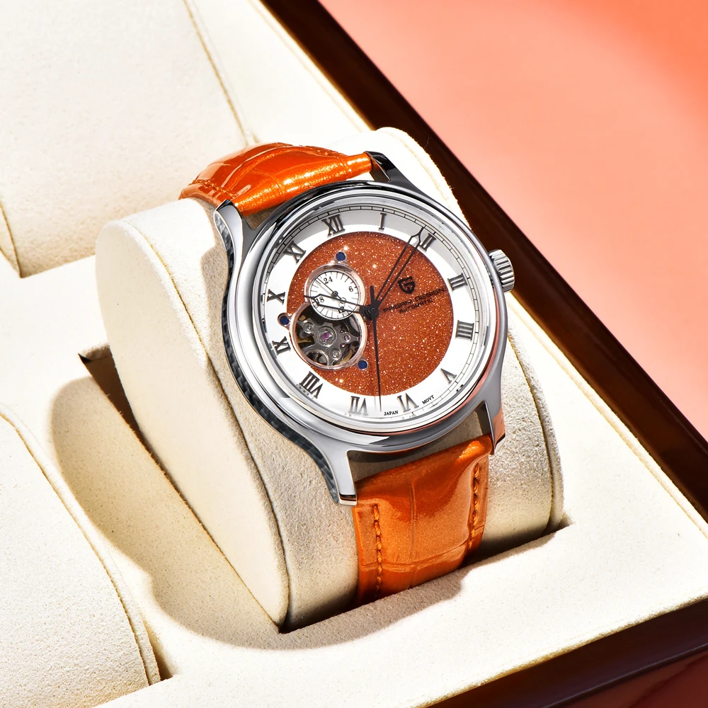 2025 New PAGANI DESIGN Starry sky Mechanical Watches Sapphire Mirror Automatic Watch For Men Men's Gifts Waterproof 100M Watch